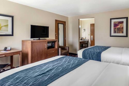 市中心康福特茵酒店 市中心康福特茵酒店