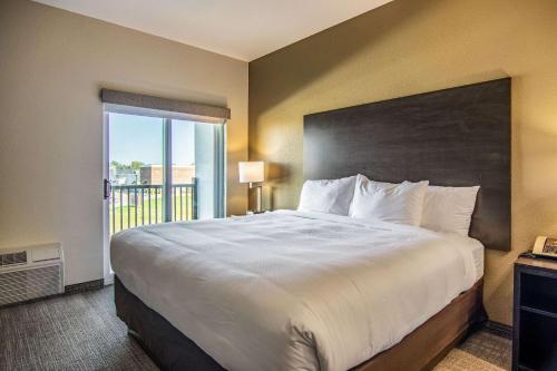 Comfort Suites - image 11