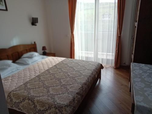 Pensiunea Delia in 瓦特拉摩奧杜維泰