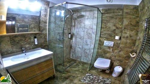 Pensiunea Delia in 瓦特拉摩奧杜維泰