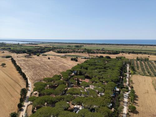 Costa D'Argento - Camping Village Club Capalbio 1