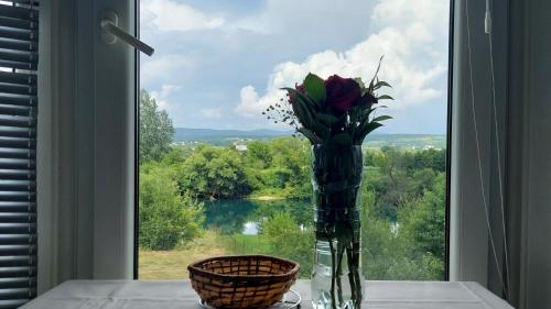 Apartments Window