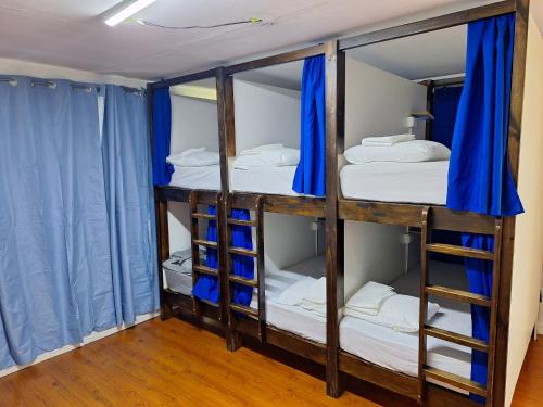 Carolina Hostel in San José