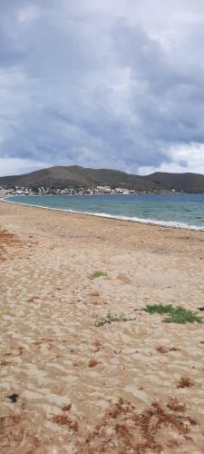 Voltants, Altinkum tatil konakları in Turkeli