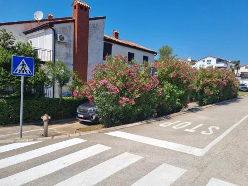 Omgeving, Studio Raven N2 in Poreč