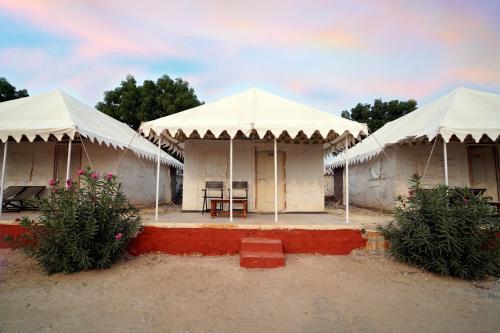 Starry Nights Desert Camp