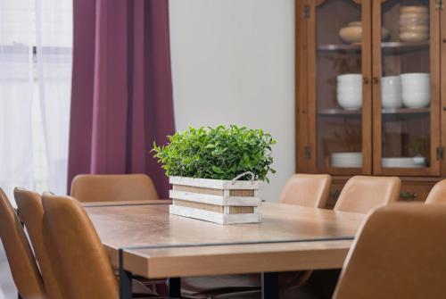 Historic remodeled home near State Street in Bristol, USA
