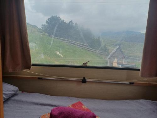 Katun Ljeljenak in Pluzine