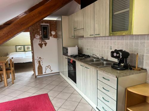 virtuve, Dolomiti Garden Apartment in Terzola
