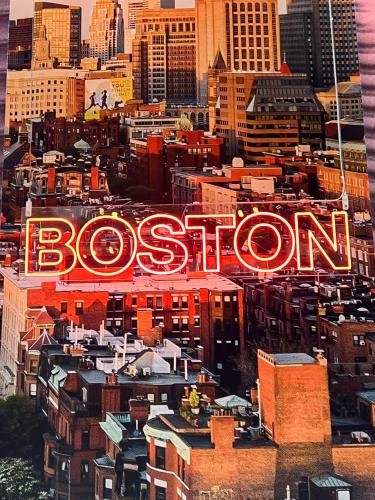 Peaceful 1BR easy commute, urban suburban mix feel in Boston Peaceful 1BR easy commute, urban suburban mix feel in Boston