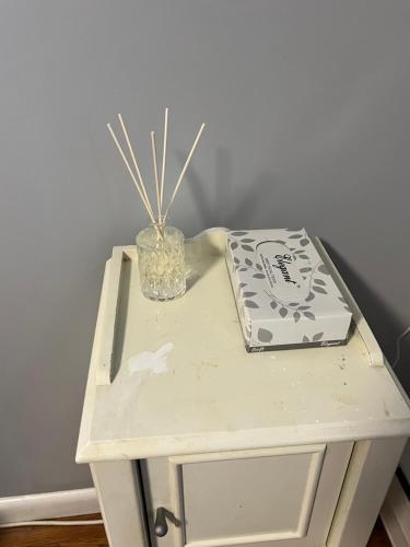 Peaceful 1BR easy commute, urban suburban mix feel in Boston Peaceful 1BR easy commute, urban suburban mix feel in Boston