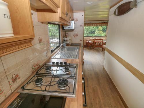 Lazy Trout Caravan, Narberth (fotografie 8)