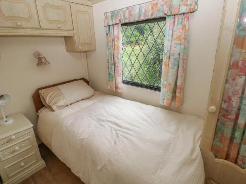 Lazy Trout Caravan, Narberth (fotografie 10)