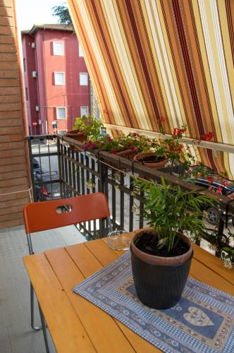 La Casa di Paola in Graffignano