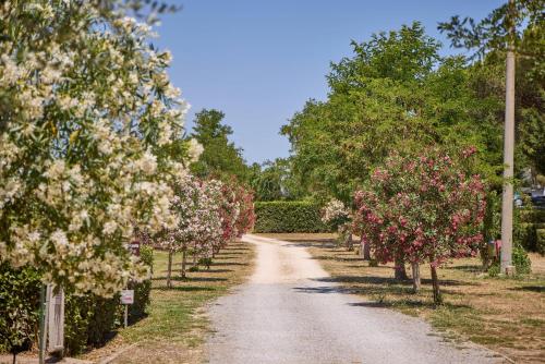 Costa D'Argento - Camping Village Club Capalbio