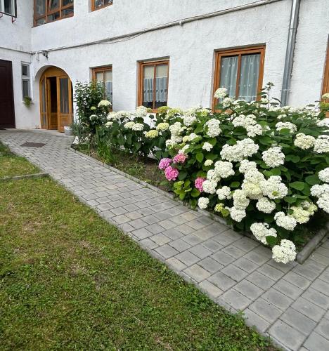 Stone Way Apartment