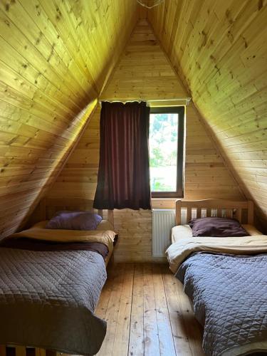 Borjomi-sadgeri''Twins''