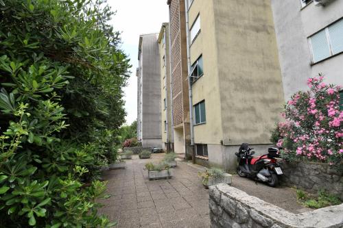 Apartment City - image 2