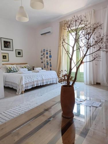  Ficodindia Rooms in Sortino