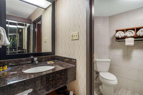 Best Western Plus Houston Energy Corridor - image 12