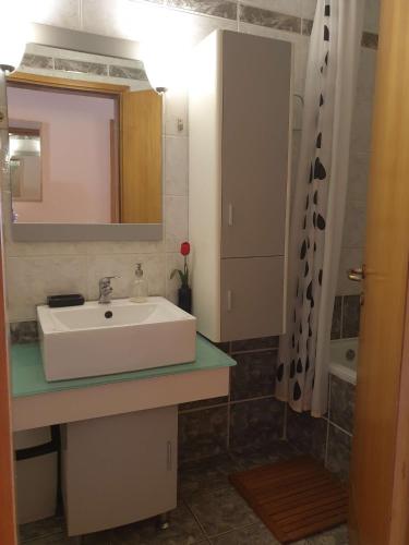 Apartments with parking space Selce, Crikvenica - 23193, Selce (foto 9)