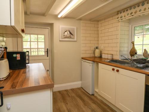 Pheasant Cottage Ilfracombe - image 14