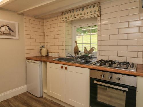 Pheasant Cottage Ilfracombe - image 2