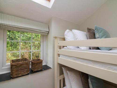 Pheasant Cottage Ilfracombe - image 9