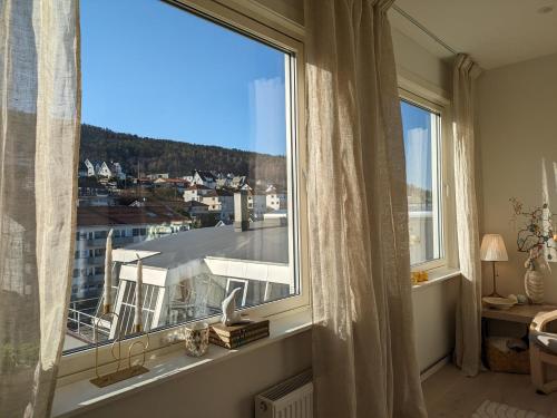 Meget hjemmekoseligISentraltINyoppusset leilighet in Ytrebygda