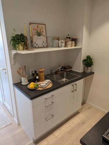 Meget hjemmekoseligISentraltINyoppusset leilighet in Ytrebygda