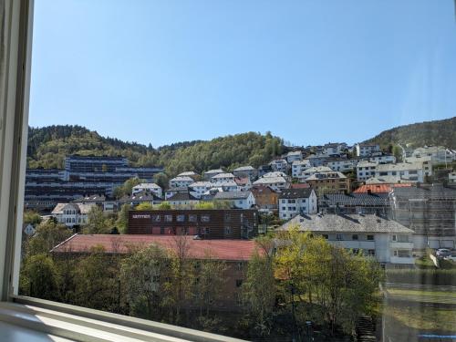 Meget hjemmekoseligISentraltINyoppusset leilighet in Ytrebygda