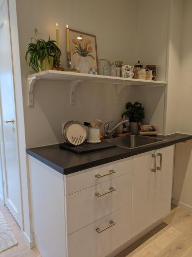Meget hjemmekoseligISentraltINyoppusset leilighet in Ytrebygda