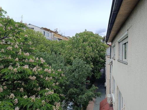 Mlin Balkan Rooms, Skopje (fotografie 10)