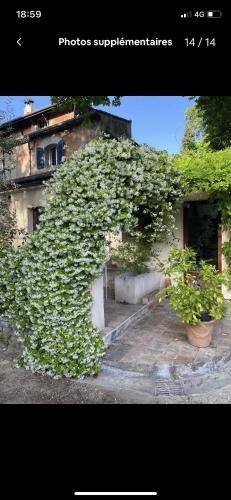 EXCEPTIONNEL, maison de vacances dans parc, climatisation, parking, calme assuré, Marseille (photo 4)