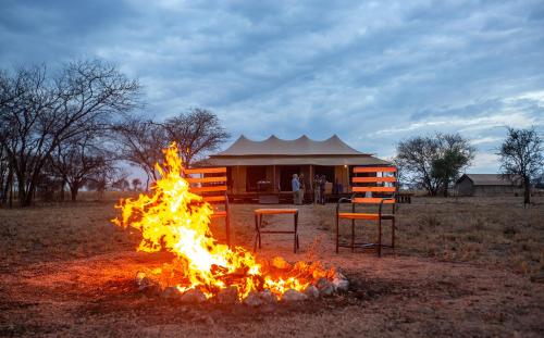 . House Of Nature Serengeti