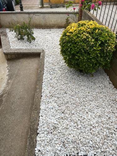 Cals Avis de Sau Cals Avis de Sau