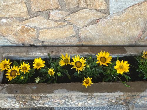 Cals Avis de Sau Cals Avis de Sau