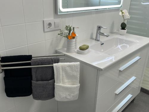 Cals Avis de Sau Cals Avis de Sau