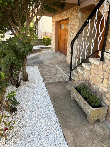 Cals Avis de Sau Cals Avis de Sau