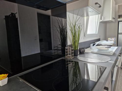 Tres bel hébergement ensoleillé les Romarins (Tres bel hebergement ensoleille les Romarins) in Brignoles