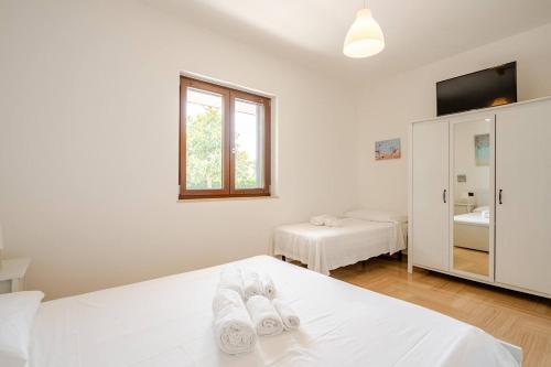 Massaroom, Conversano (Foto 10)