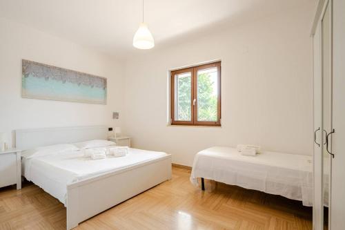 Massaroom, Conversano (Foto 6)