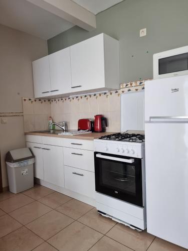 One-Bedroom Apartment image 10