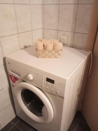 Dina house Dina house