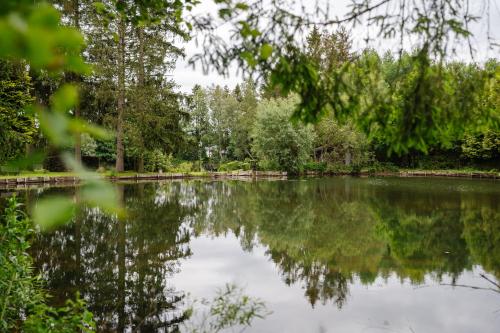 Hotel Steineweiher - image 5