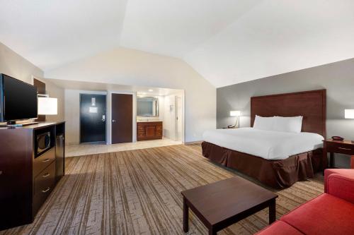 1 king bed, 1 sofa bed