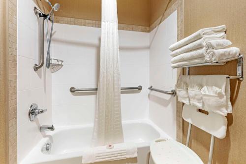 Comfort Suites Palestine - image 12