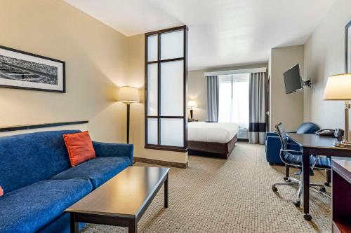 Comfort Suites in Palestine, USA