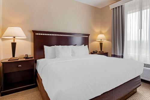Comfort Suites Palestine - image 14
