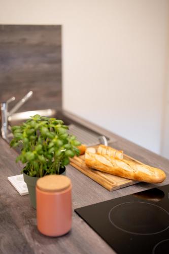 Lexapartments Luxus Apartment-Zentral in Altstadt-65-80qm 5